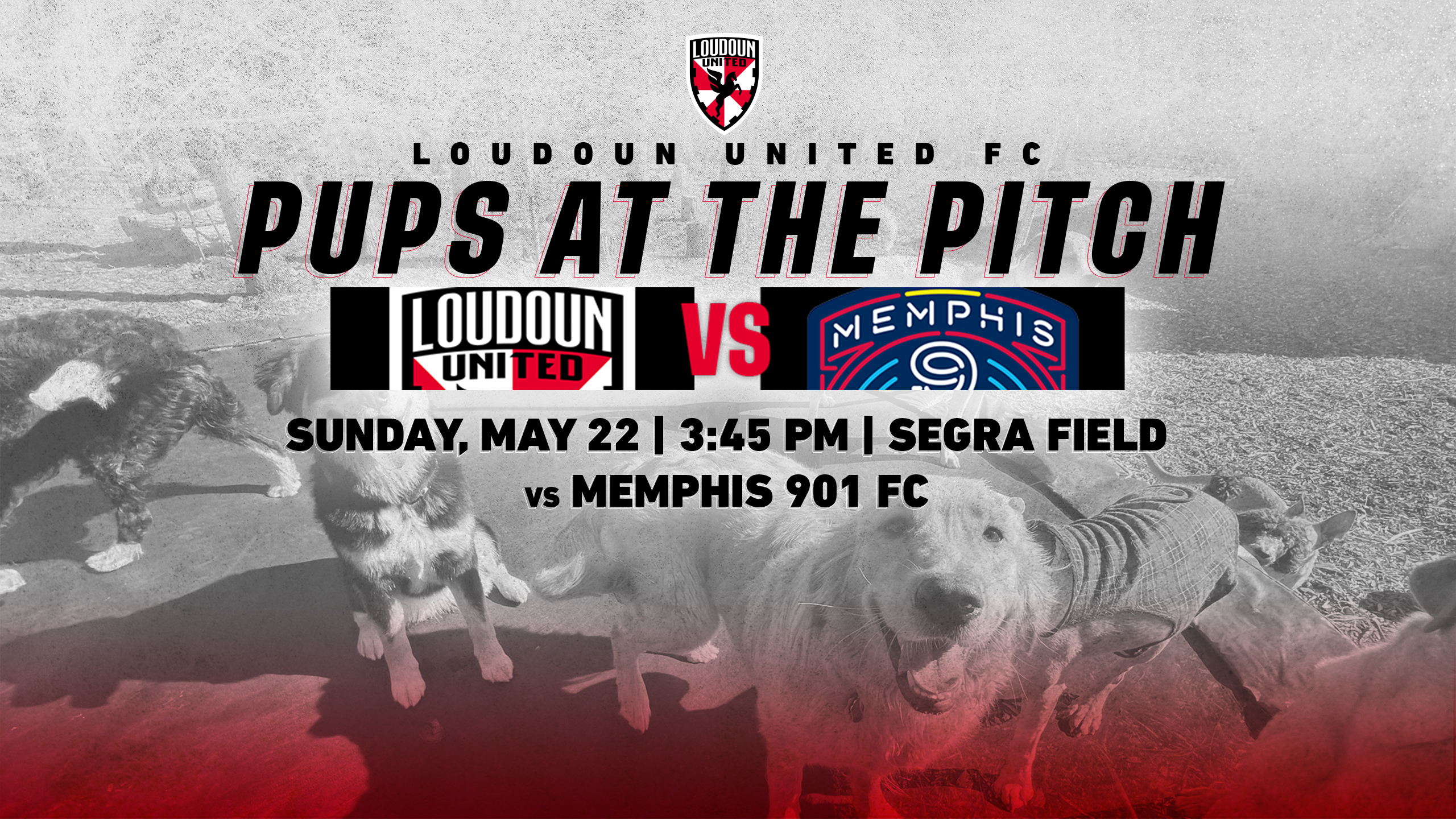 Segra Field Bag Policy - Loudoun United FC